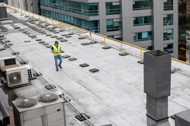Best Roof Ventilation Installation  in Holley, NY