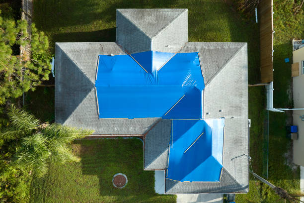 Best Steel Roofing  in Holley, NY