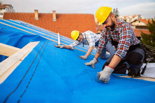 Best Roof Repair  in Holley, NY