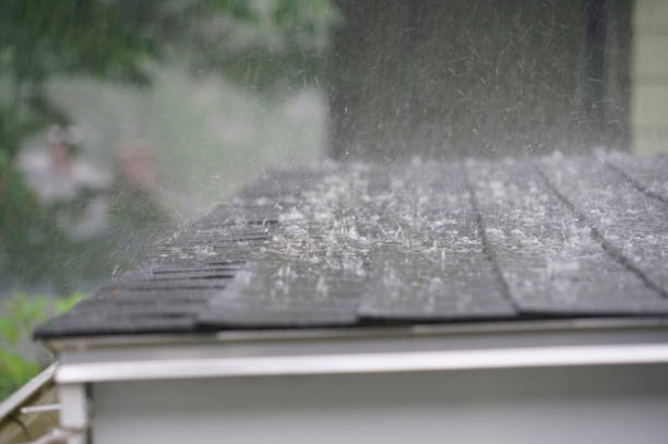 Best Rubber Roofing (EPDM, TPO)  in Holley, NY