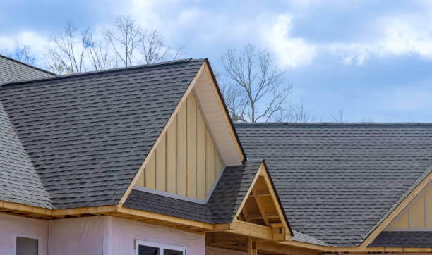 Best Solar Panel Roofing Installation  in Holley, NY