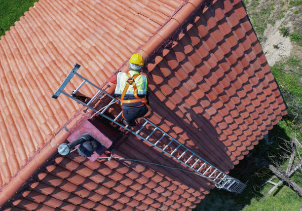 Best Roof Maintenance and Cleaning  in Holley, NY